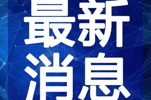 纳威莱特最新爆料视频大全,揭秘幕后真相与精彩瞬间